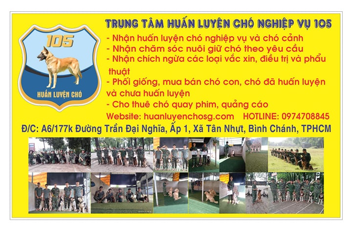Kết quả xổ số Miền Bắc 16/10/2019 - Dự đoán XSMB hôm nay - Ảnh 4