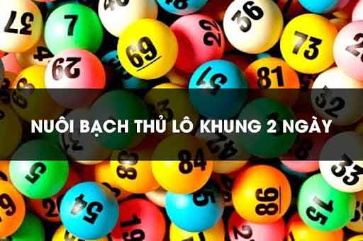 Chiến thuật nuôi bạch thủ lô trong 2 ngày bí quyết tối ưu tỷ lệ trúng - Ảnh 3