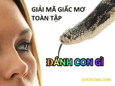 Số mơ lô đề - Giải mã giấc mơ toàn tập - soicau366