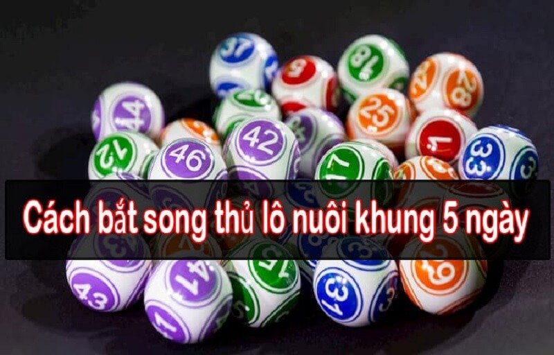 Song thủ lô khung 5 ngày chiến lược nuôi số hiệu quả - Ảnh 2